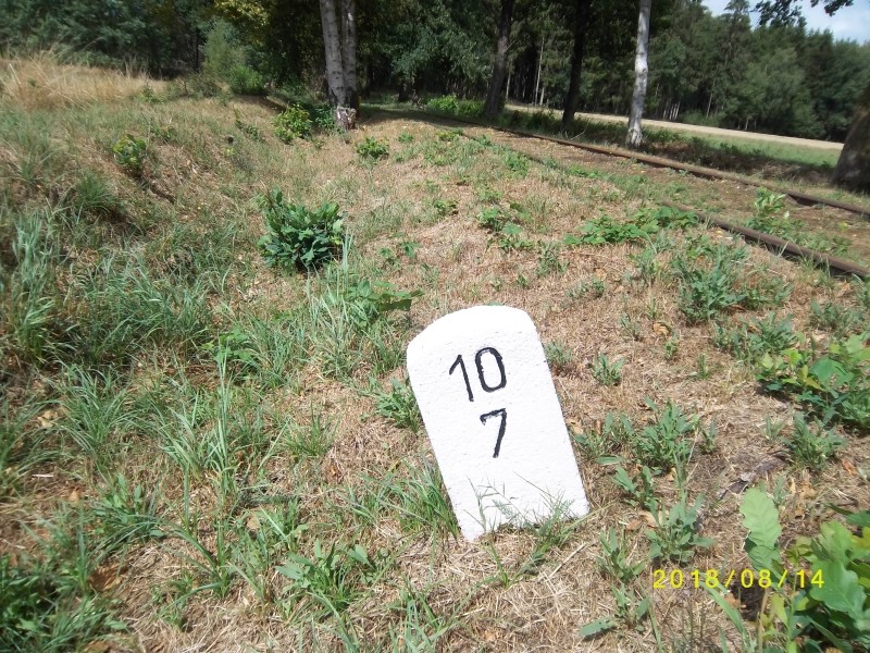 ZWNEGI47